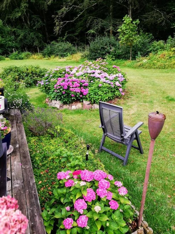 The Foresters House- Idyllic Tranquility- Non Smokers Only Store Heddinge Exteriér fotografie