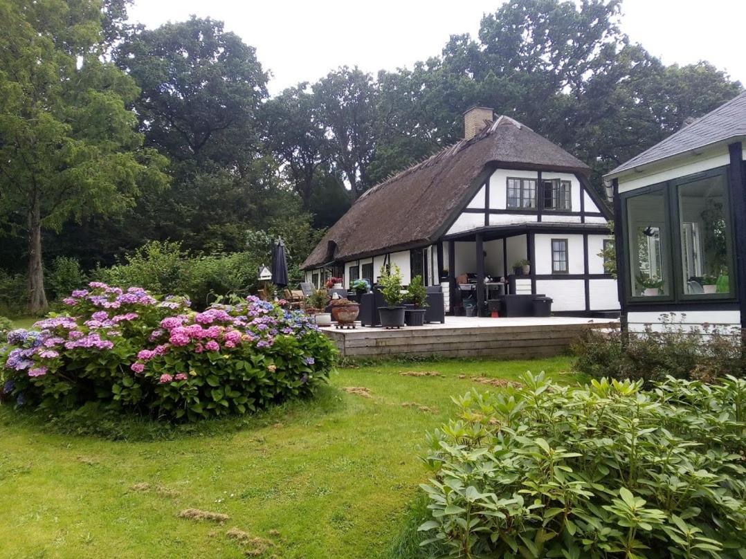 The Foresters House- Idyllic Tranquility- Non Smokers Only Store Heddinge Exteriér fotografie