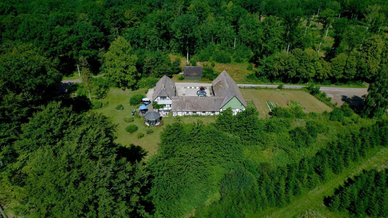 The Foresters House- Idyllic Tranquility- Non Smokers Only Store Heddinge Exteriér fotografie